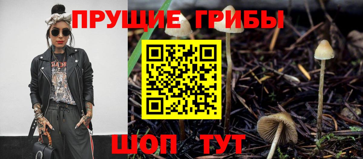 Псилоцибиновые грибы ЛСД Ижевск