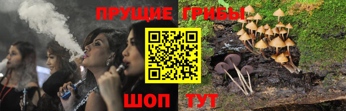 Псилоцибиновые грибы мицелий  Псилоцибиновые грибы прущие грибы  Вход с VPN  Ижевск 